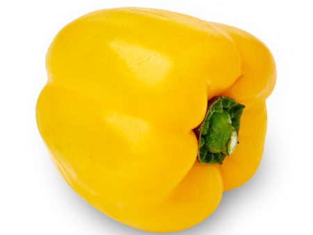 BELLVO Yellow Capsicum For Discount