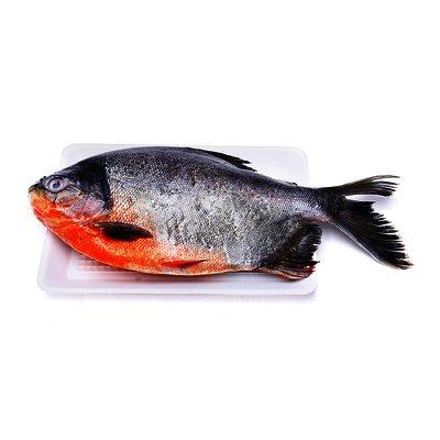 Black Pomfret Cheap