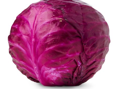 Givvo Red Cabbage Online Sale