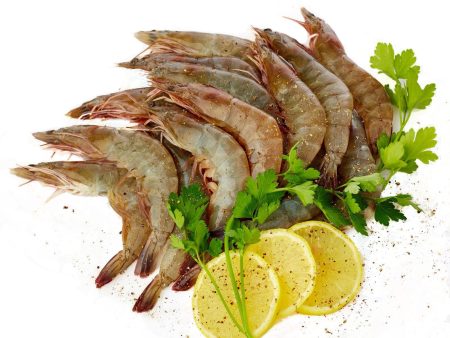 Grey Vannamei Prawns Supply