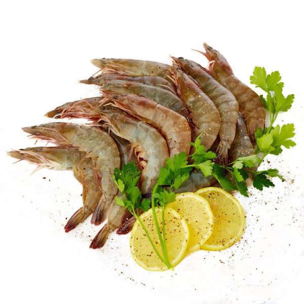 Grey Vannamei Prawns Supply