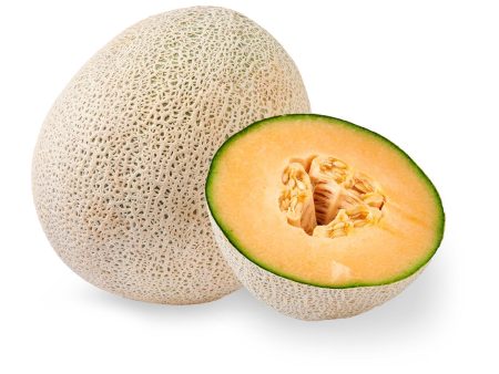 USA Cantaloupe Rock Melon For Discount