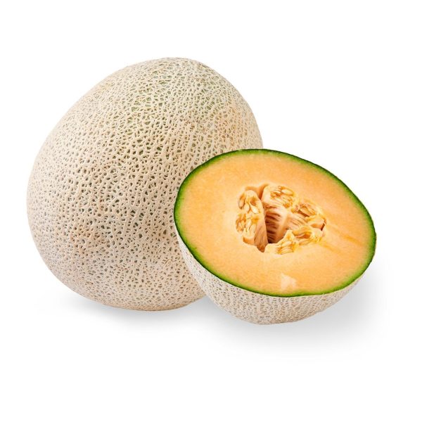 USA Cantaloupe Rock Melon For Discount