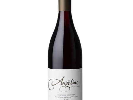 Angeline California Pinot Noir 750ML Online now